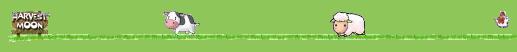 footer.jpg